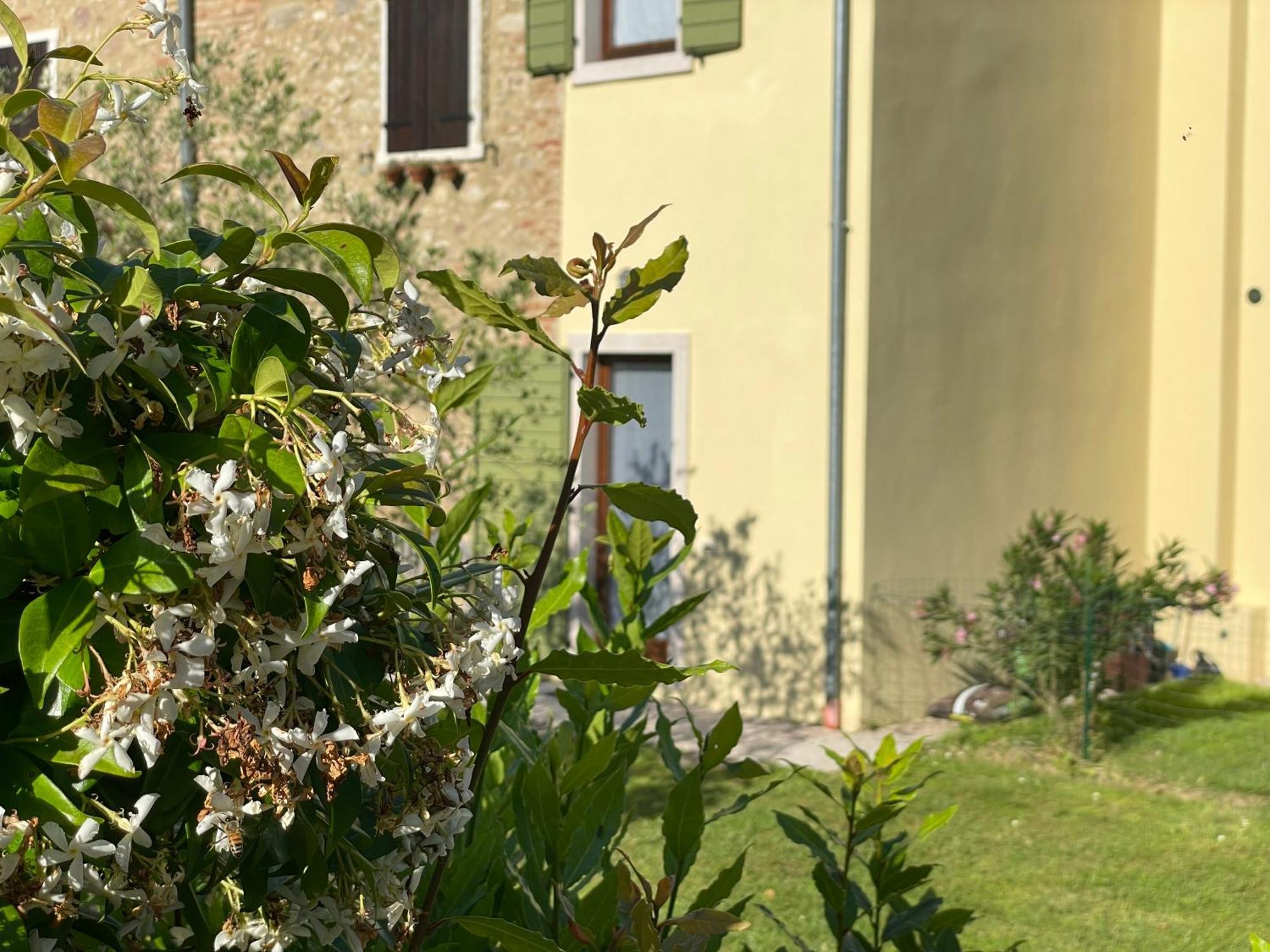 Casa Carlotte - Lago Di Garda Lazise Exterior foto