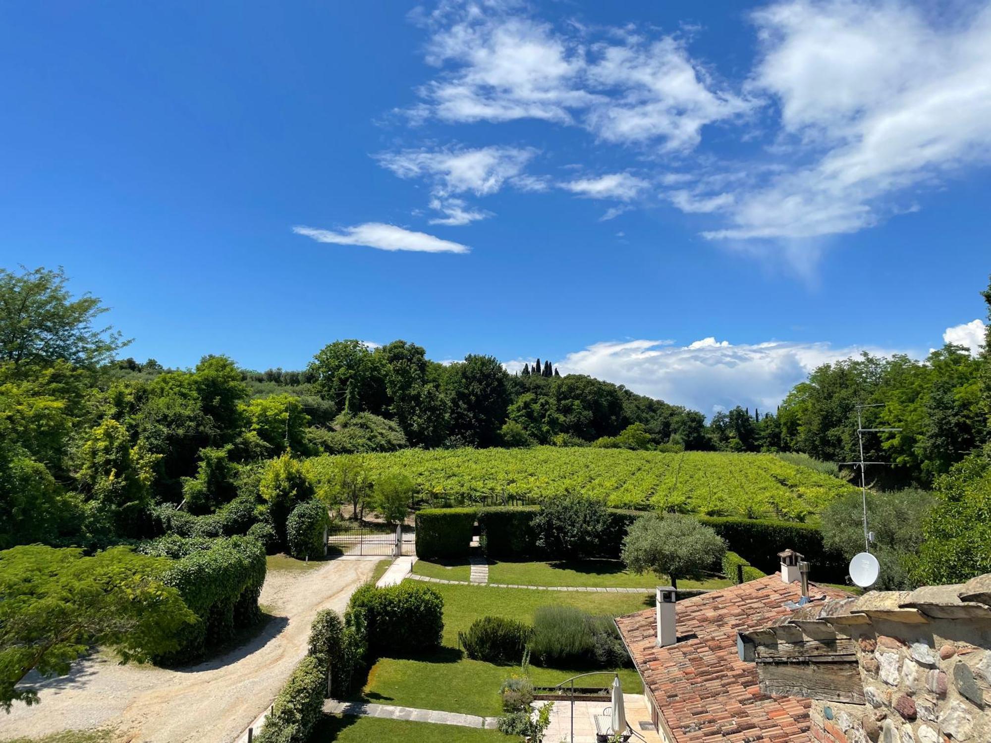 Casa Carlotte - Lago Di Garda Lazise Exterior foto
